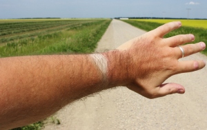 An epic driving tan - the kind that takes commitment (summer, 2012).