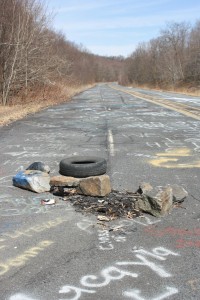 Abandoned in 1993 after multiple repair attempts, Route 61 is an apocalyptic paradise.